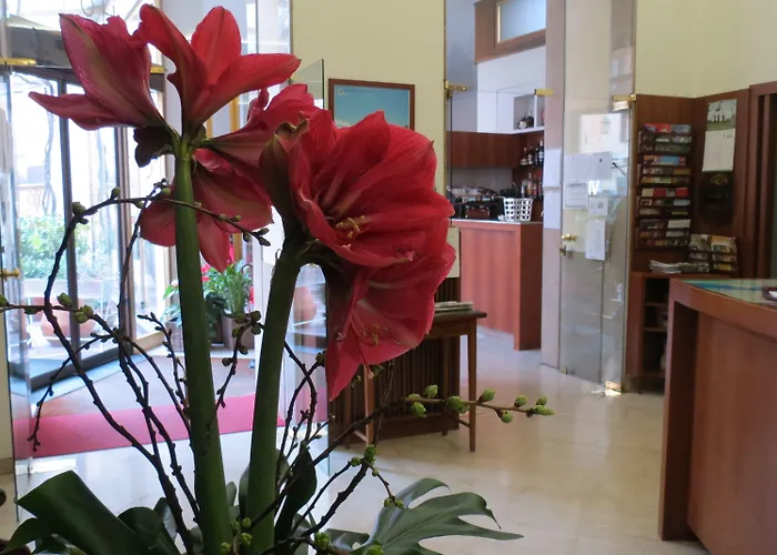 酒店 特里酒店 3*