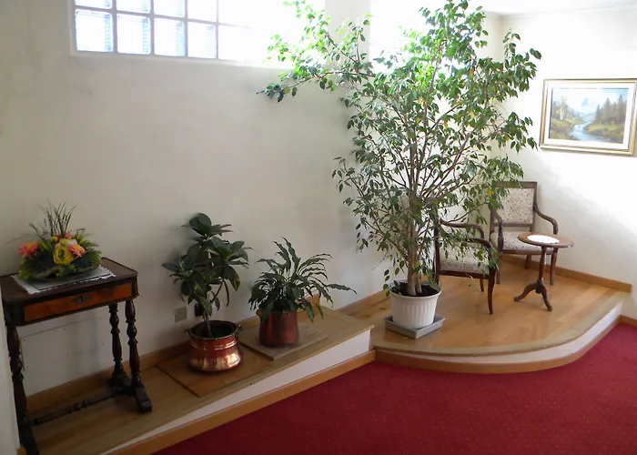 酒店 特里酒店 科莫