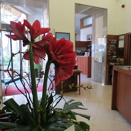 Отель Tre Re 3*